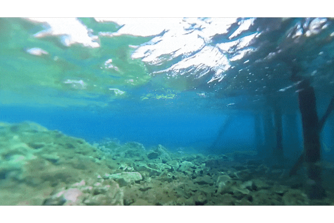 Video-documentary